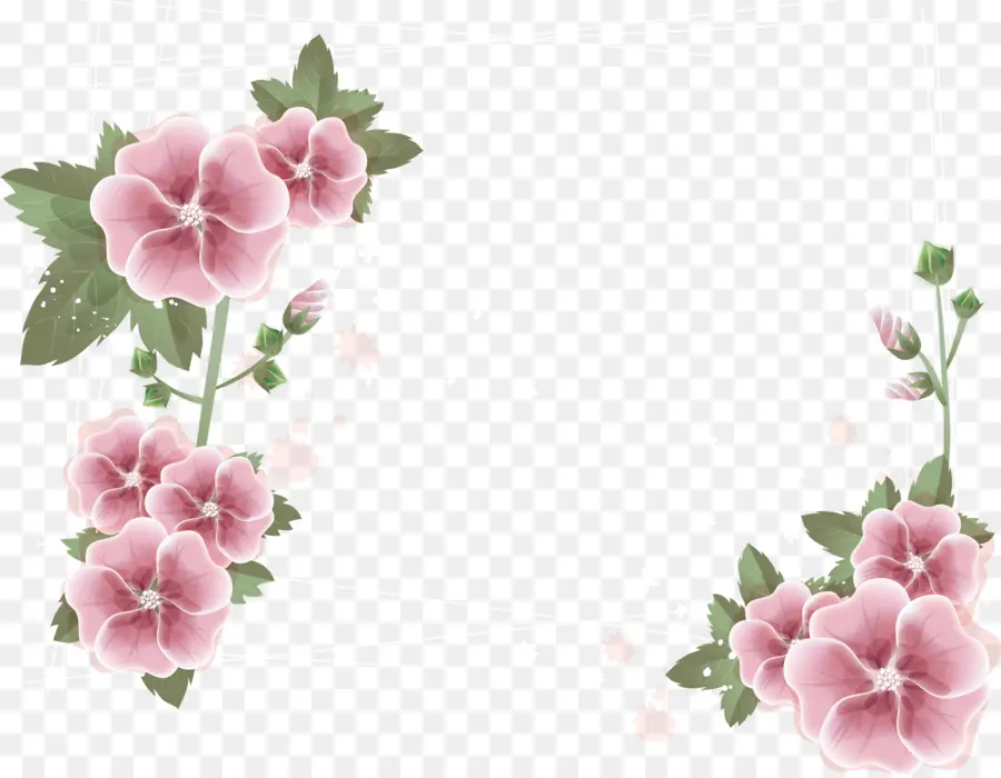 стоковая фотография，цветок PNG