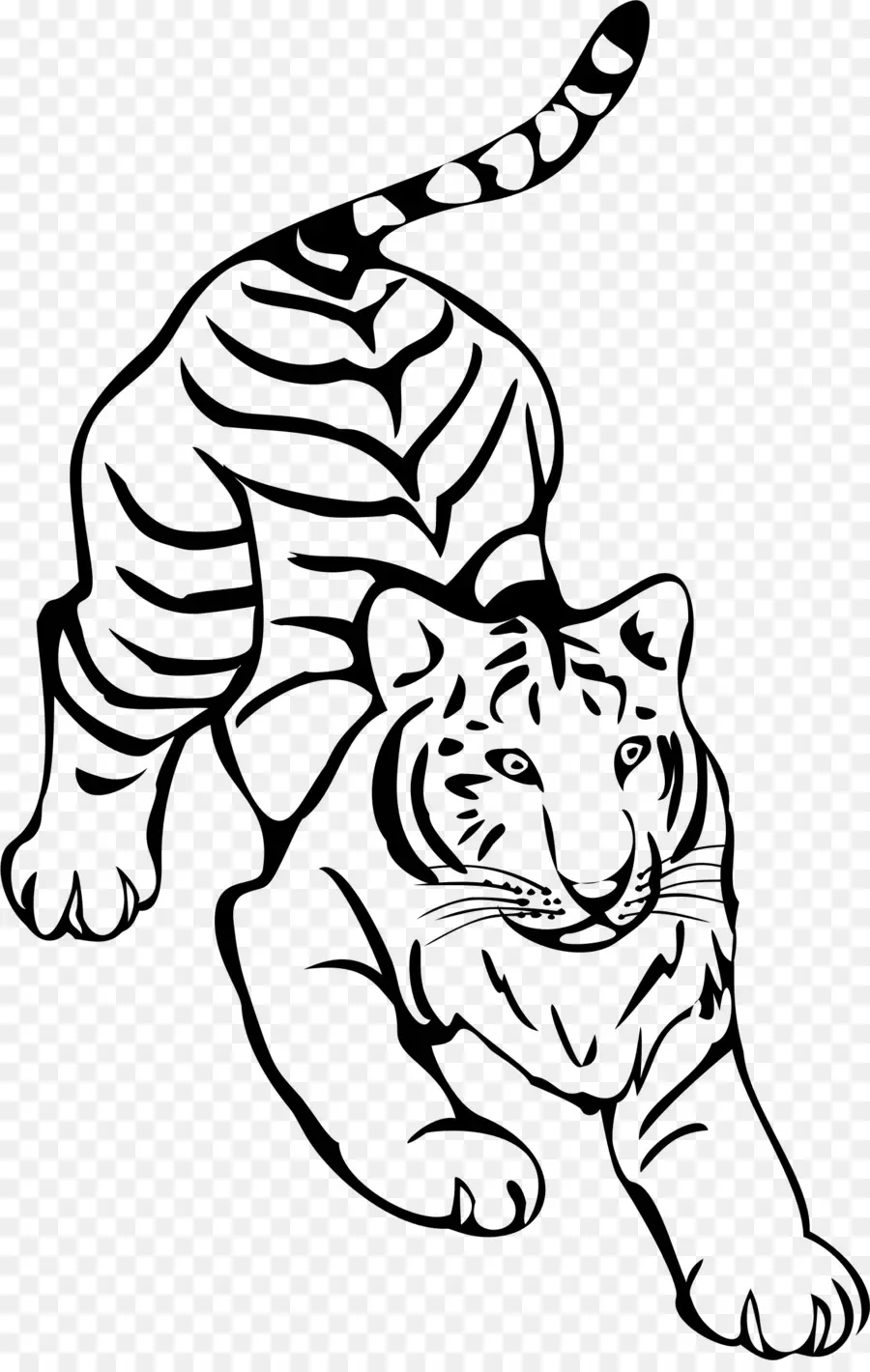 тигр，линии искусства PNG