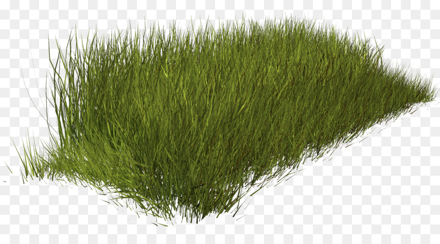 Трава на передний план фотошоп