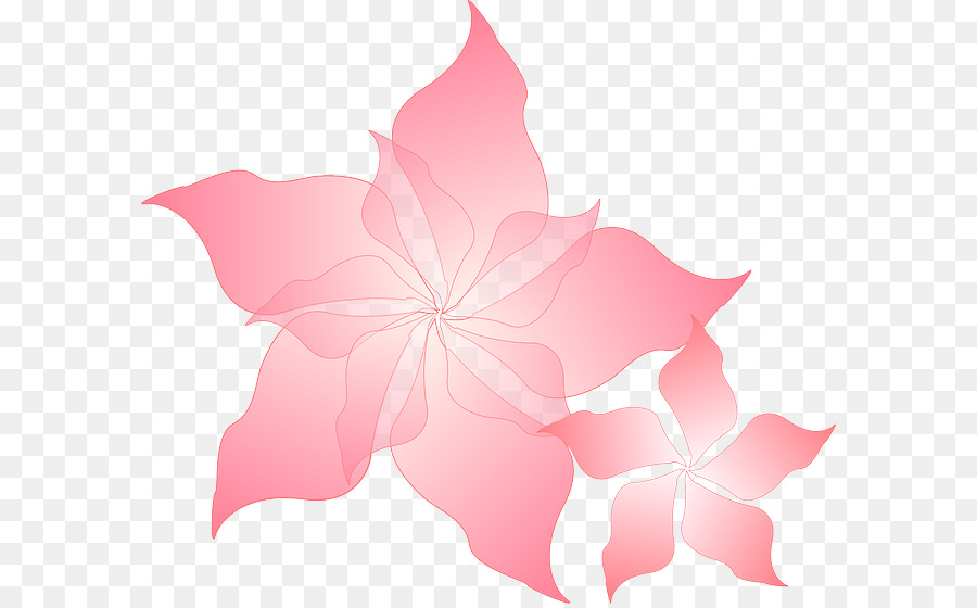цветок，бесплатно PNG