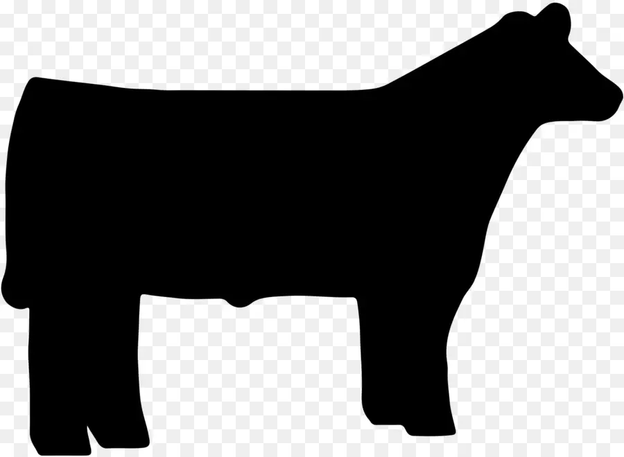крупный рогатый скот，Ангус крупного рогатого скота PNG