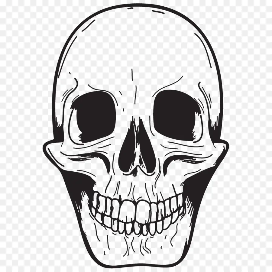 ради，символизм человеческого черепа PNG