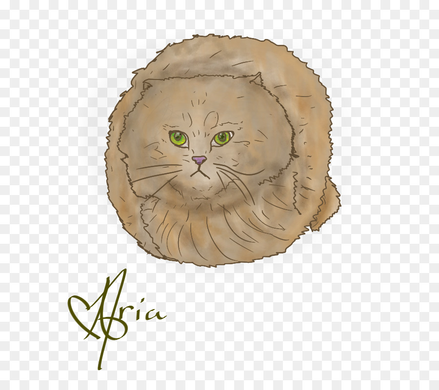 кошка，вспыльчивый PNG