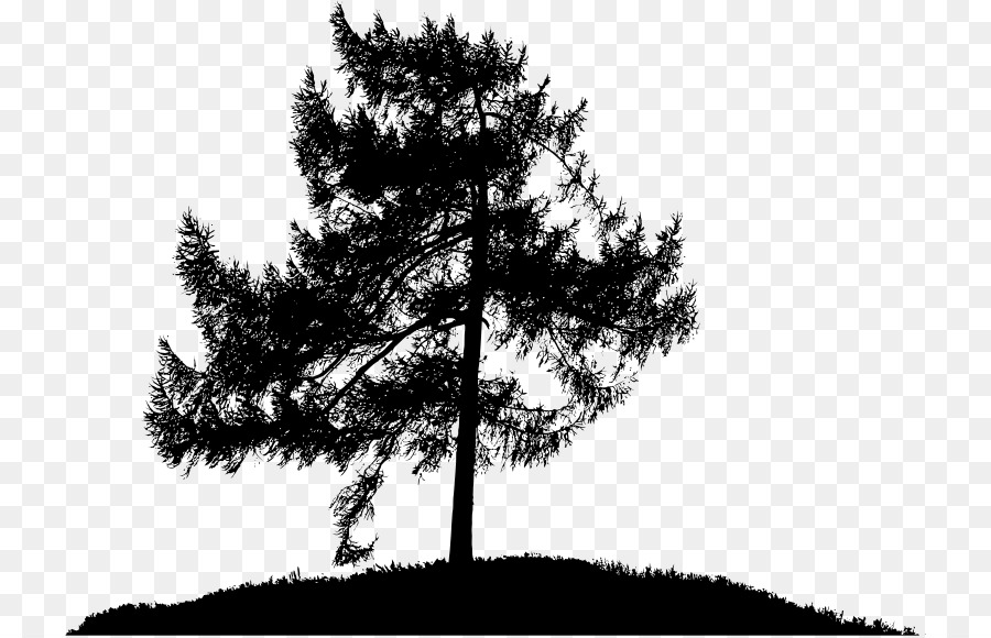 одинокое дерево，дерево PNG