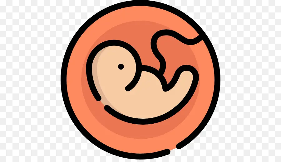 компьютерные иконки，беременность PNG