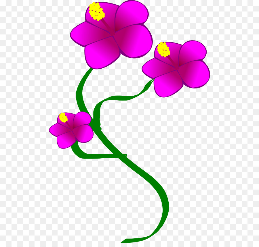 цветок，вото позитивно PNG