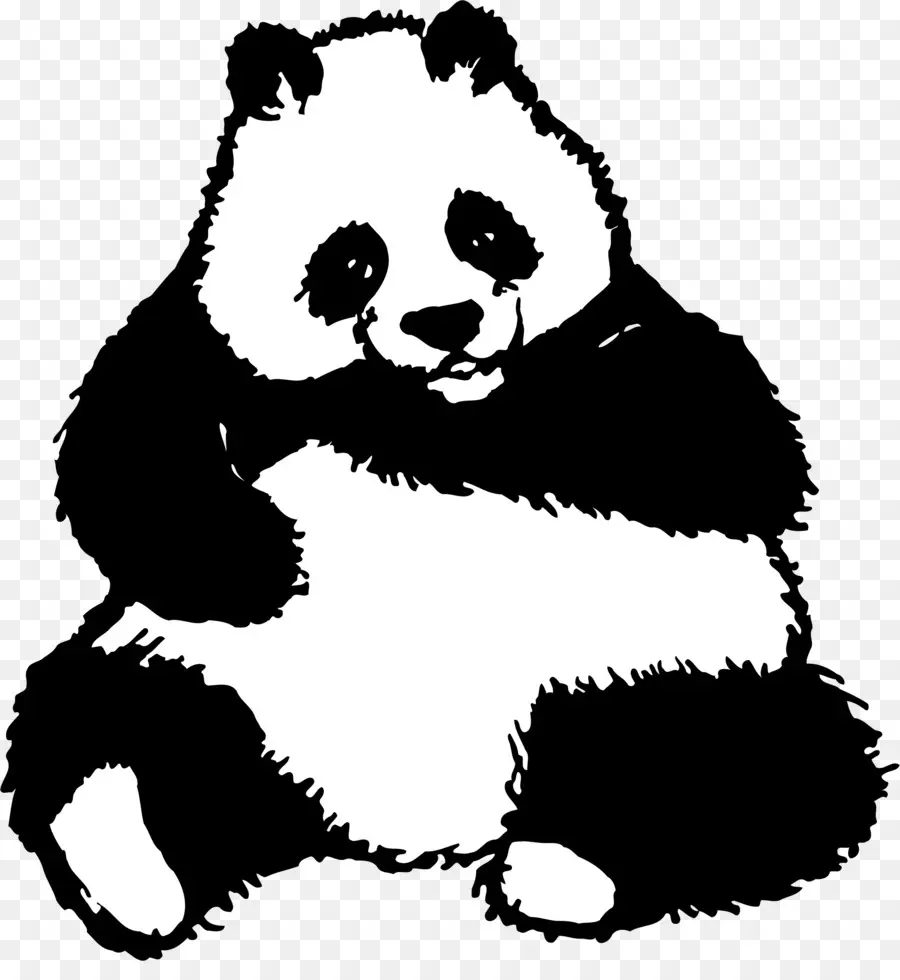 гигантская панда，рисунок PNG