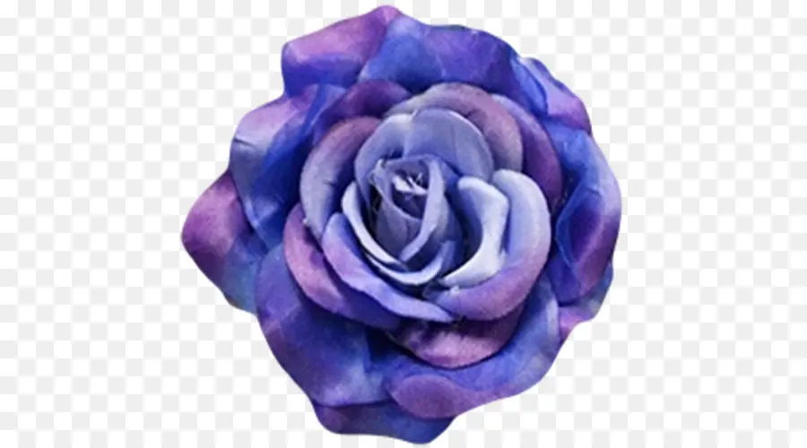 синий，голубая роза PNG