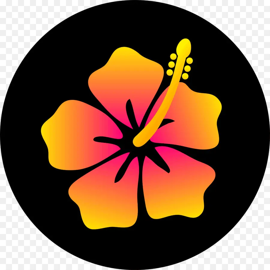 Гавайи，рисунок PNG