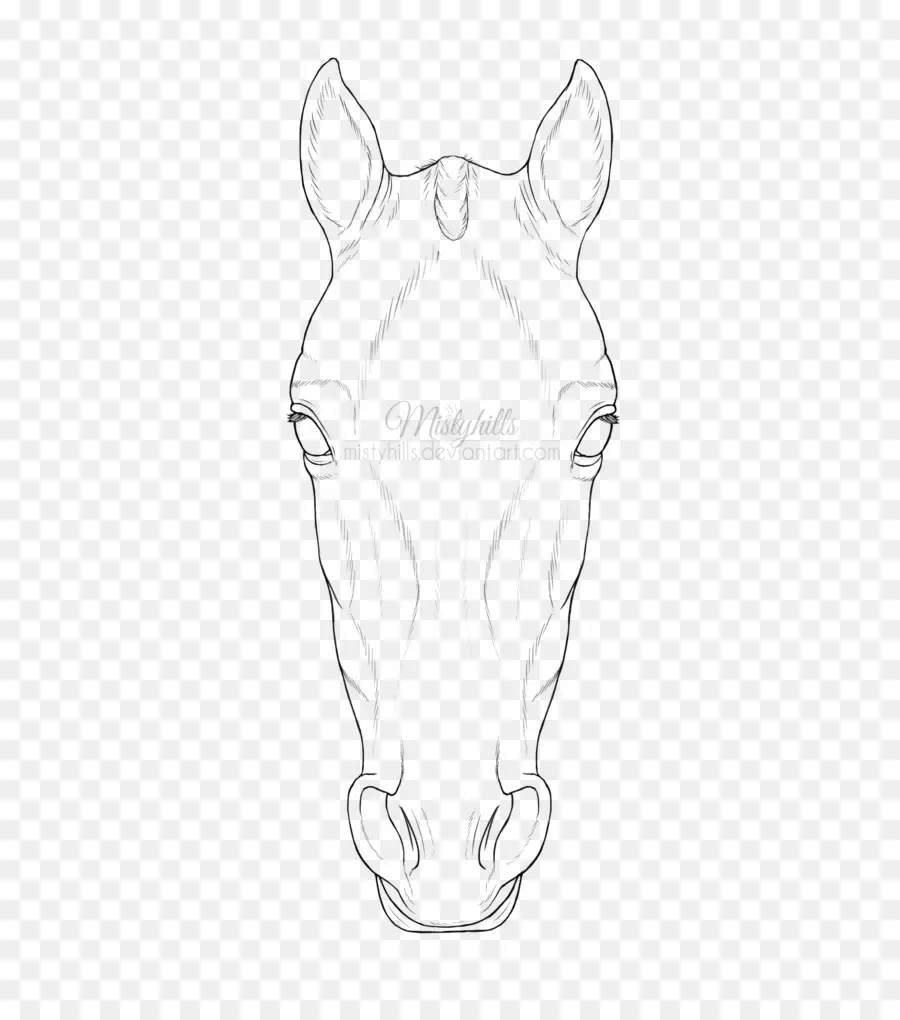лошадь，рисунок PNG