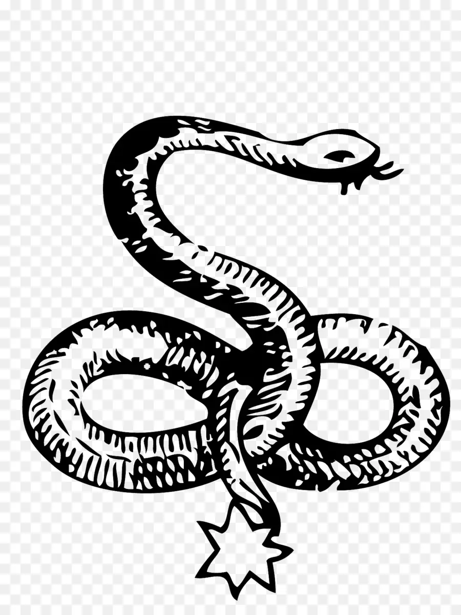 змея，символ PNG
