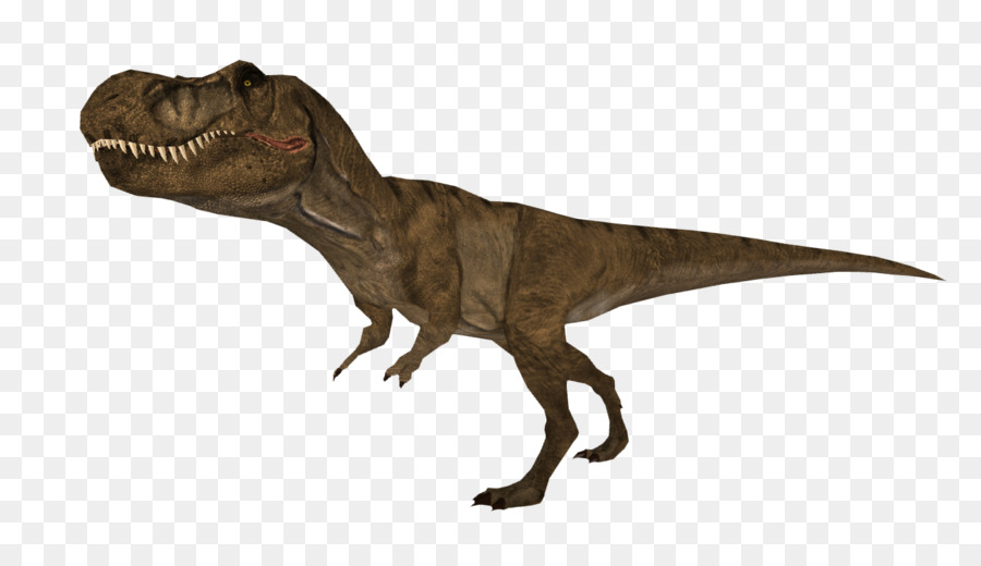 тираннозавр，зоопарк магнат динозавр роет PNG
