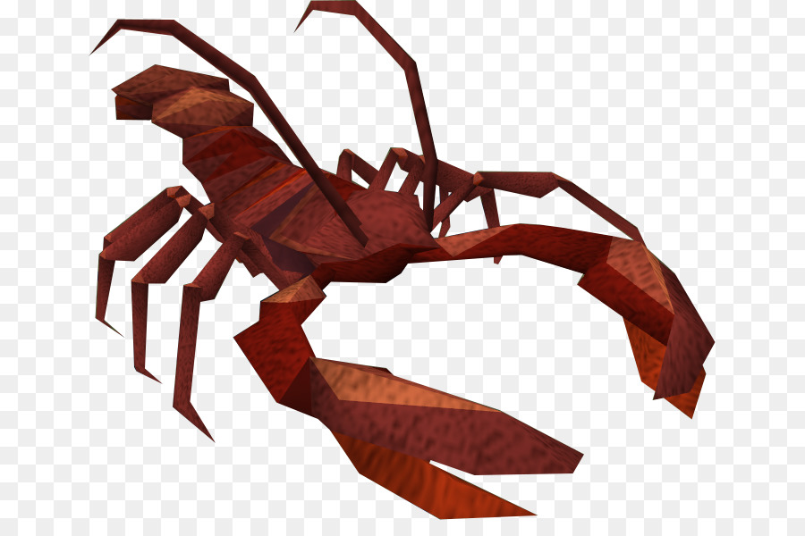 Insect，скорпион PNG