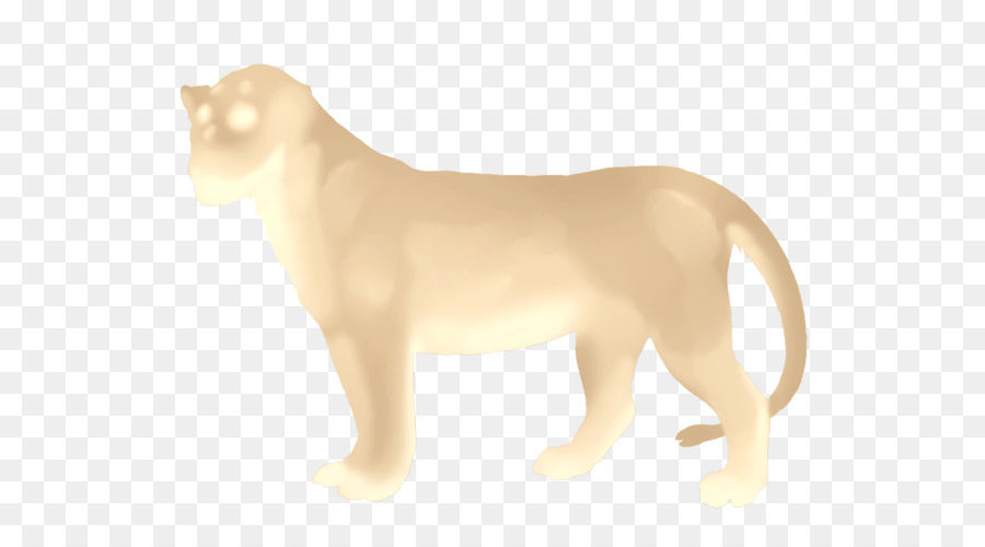 кошка，млекопитающее PNG