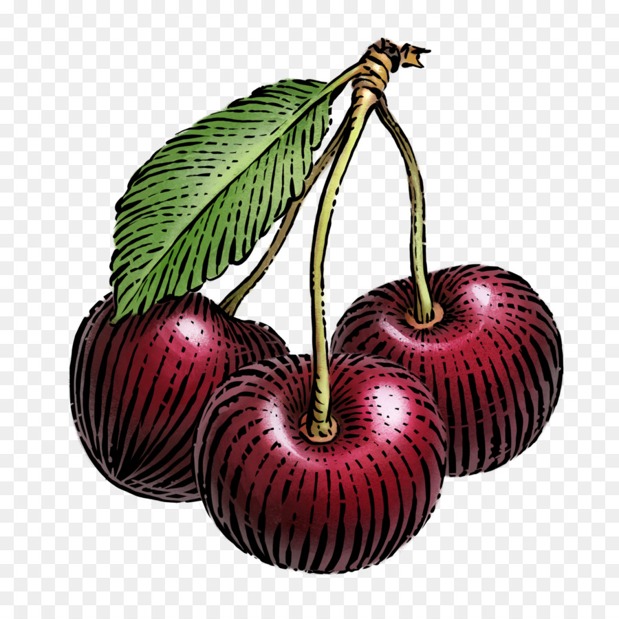 Графическое изображение вишни