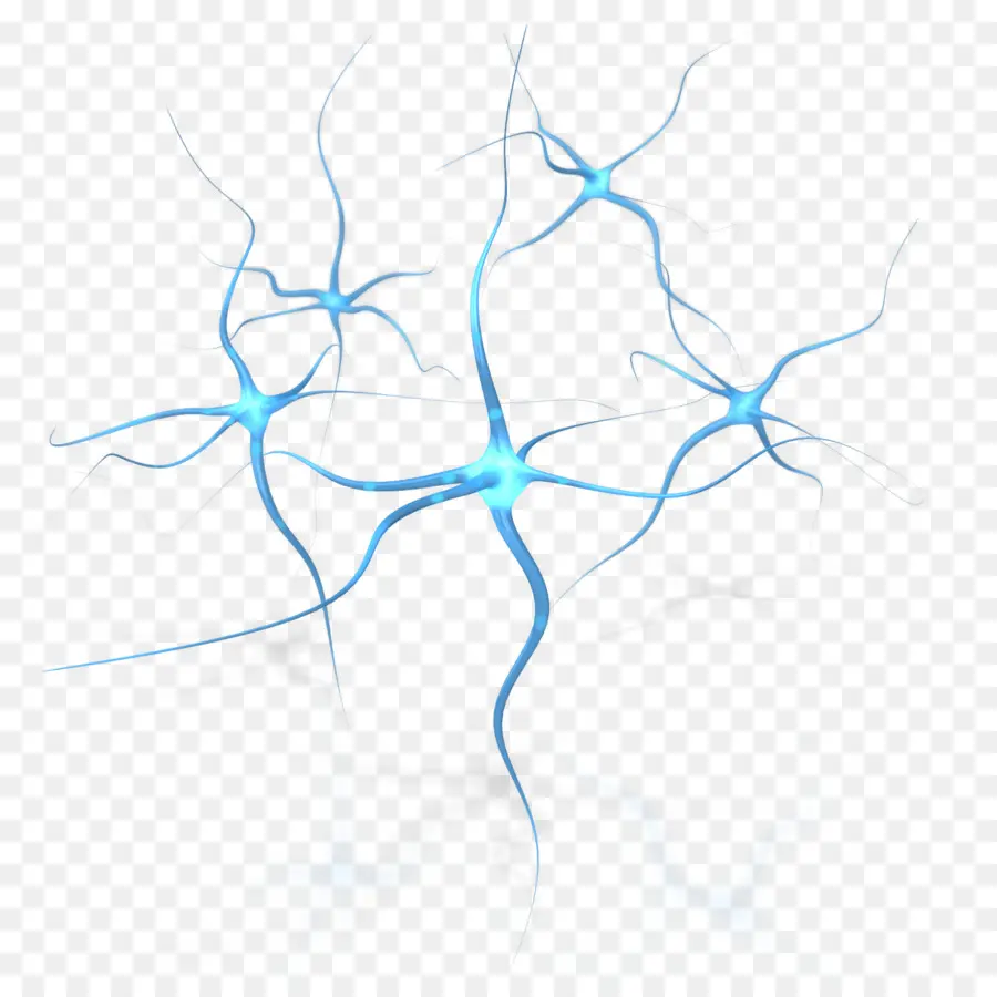 нейрон，мозг PNG