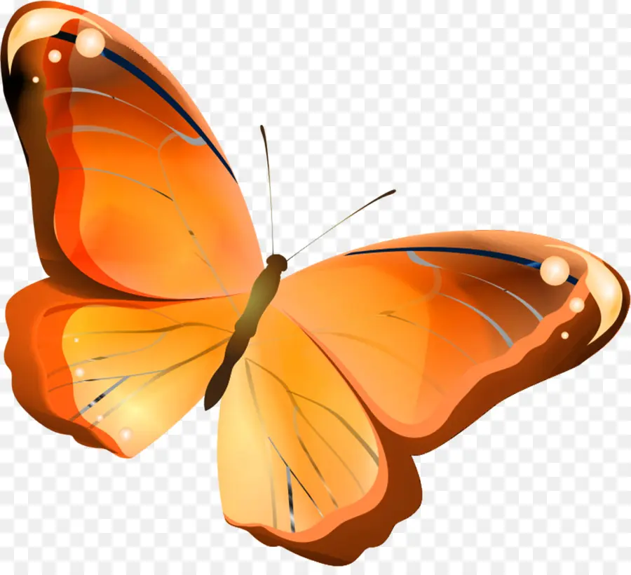 бабочка，оранжевый PNG