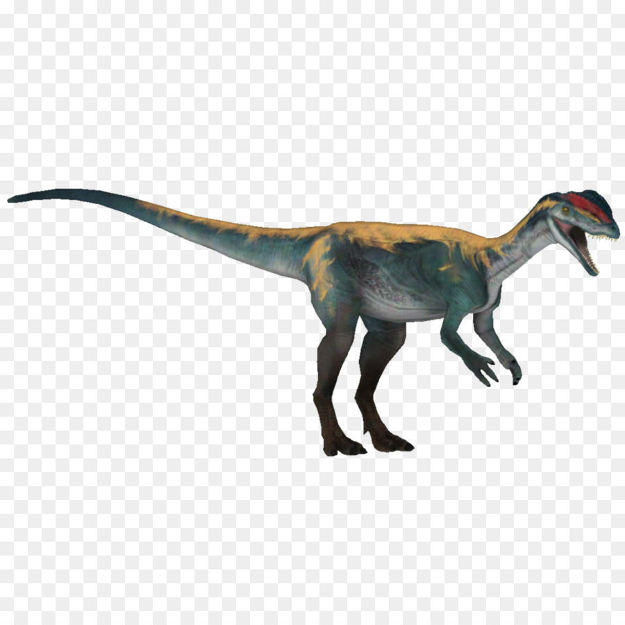 велоцираптор，динозавр PNG