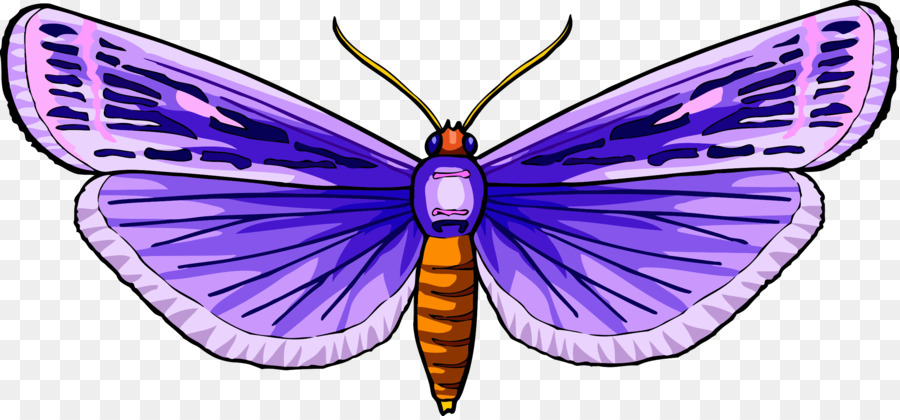 бабочка，компьютерные иконки PNG