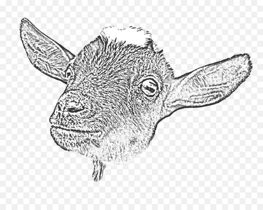 коза，крупный рогатый скот PNG
