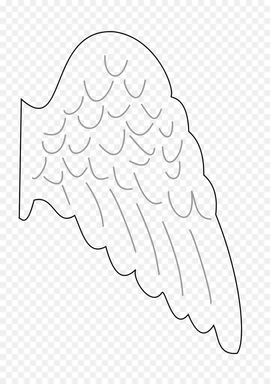 крыло ангела，рисунок PNG