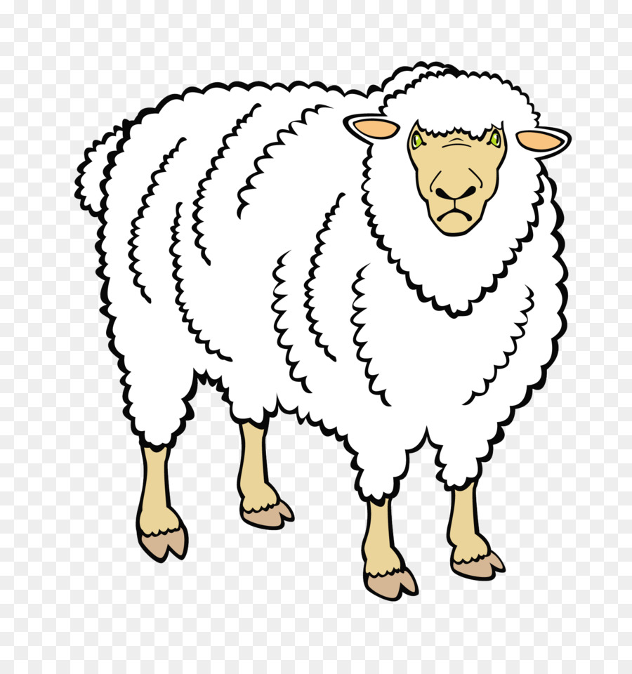 Овца схематично