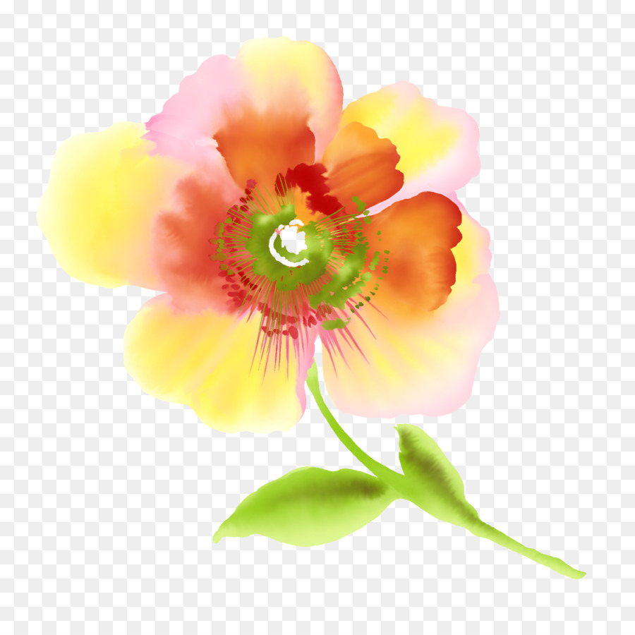 Аленький цветочек，рисунок PNG