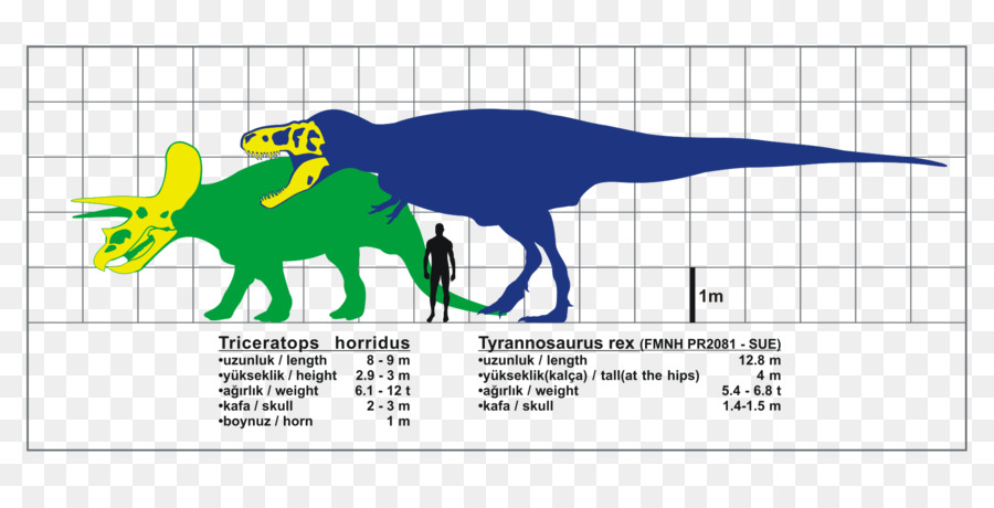 тираннозавр，трицератопс PNG