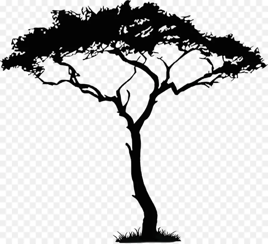африканских деревьев，дерево PNG