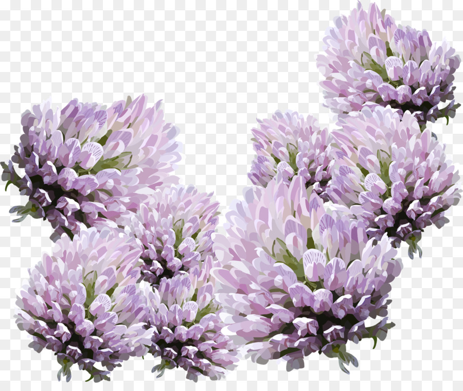 цветок，Домашняя страница PNG