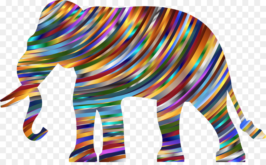 слон，Pachydermata PNG