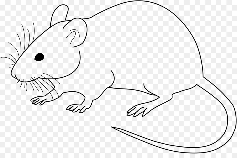 мышь, лабораторные крысы, рисунок