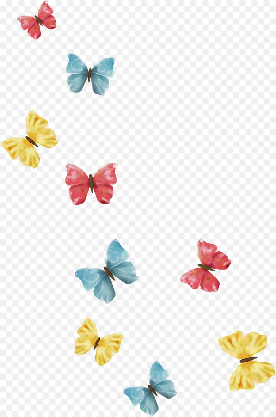 бабочки и мотыльки，фотография PNG