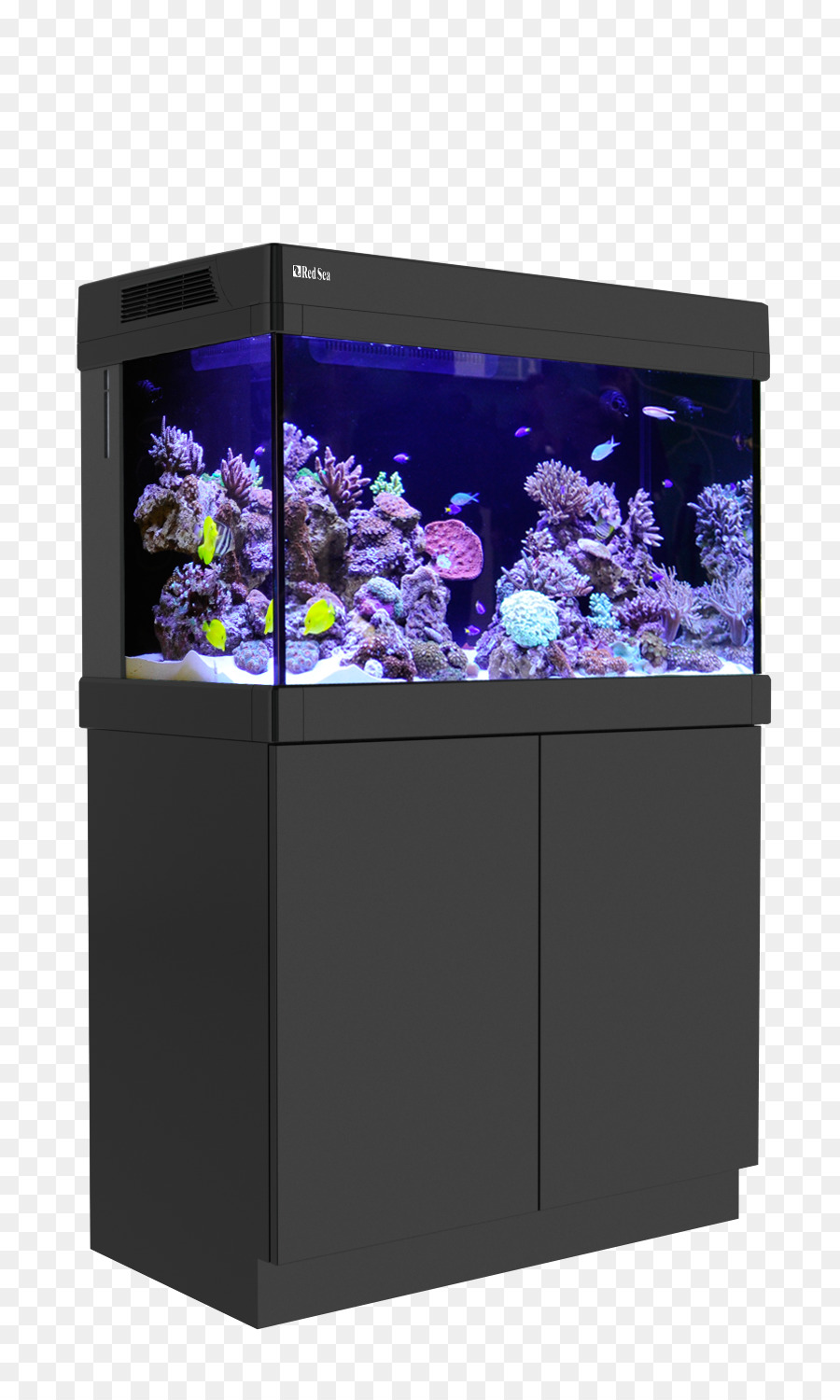 аквариум，коралловый PNG