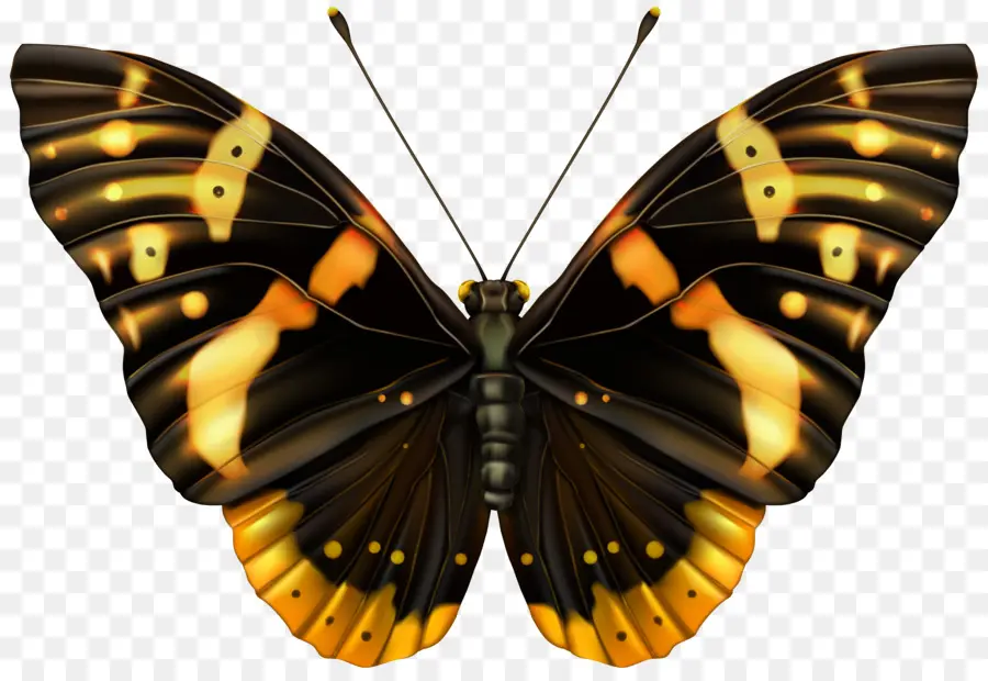 бабочка，коричневый PNG