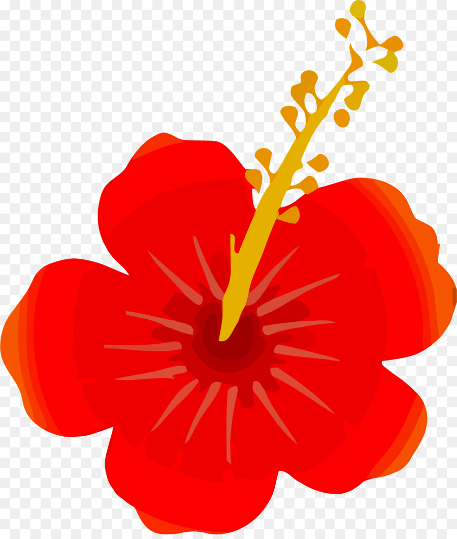 цветок，компьютерные иконки PNG