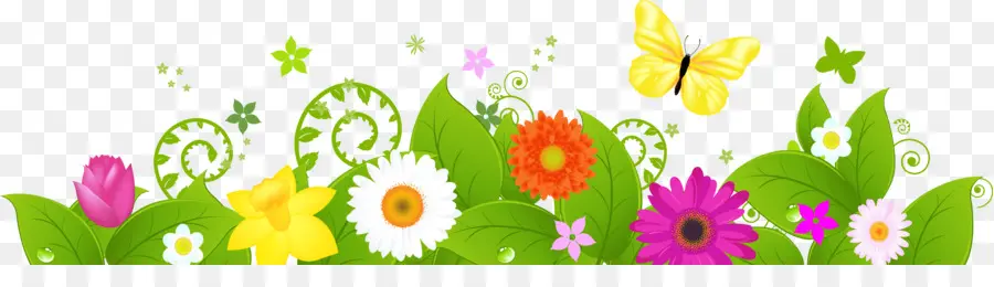 Stock Photography，Flower PNG