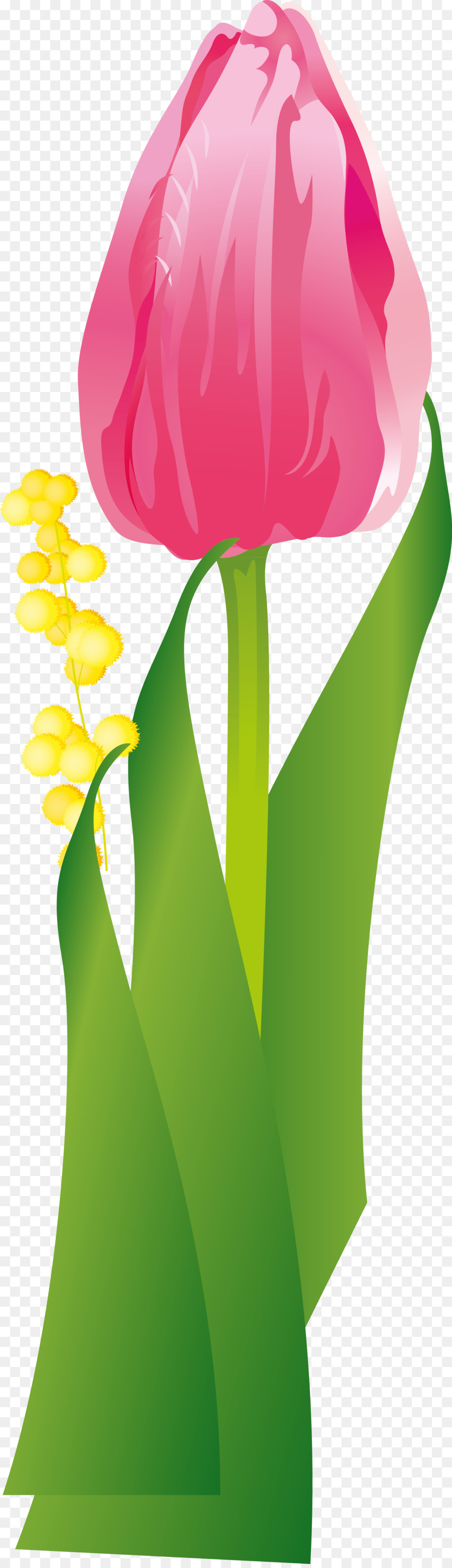 цветок，лист PNG