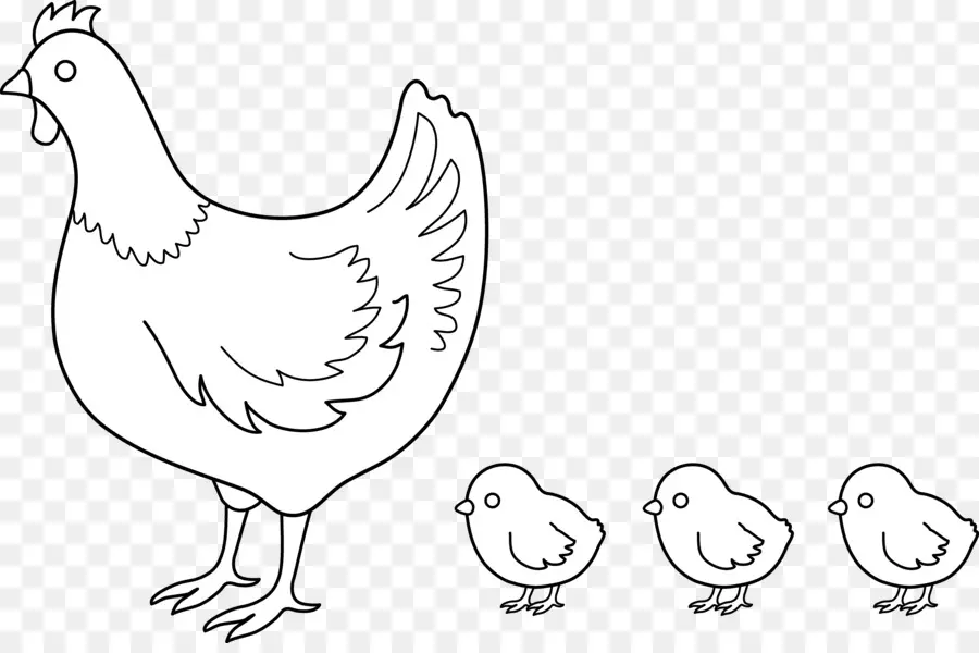 курица，рисунок PNG