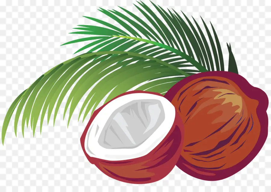 кокосовое，Royaltyfree PNG