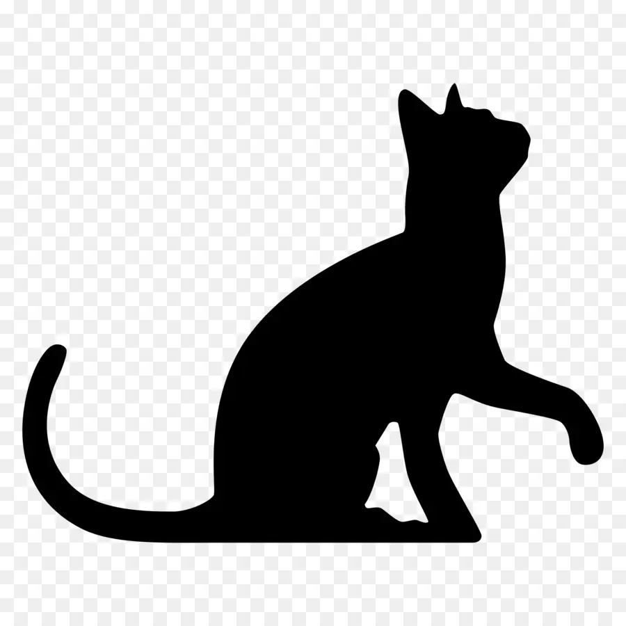 кошка，черный кот PNG