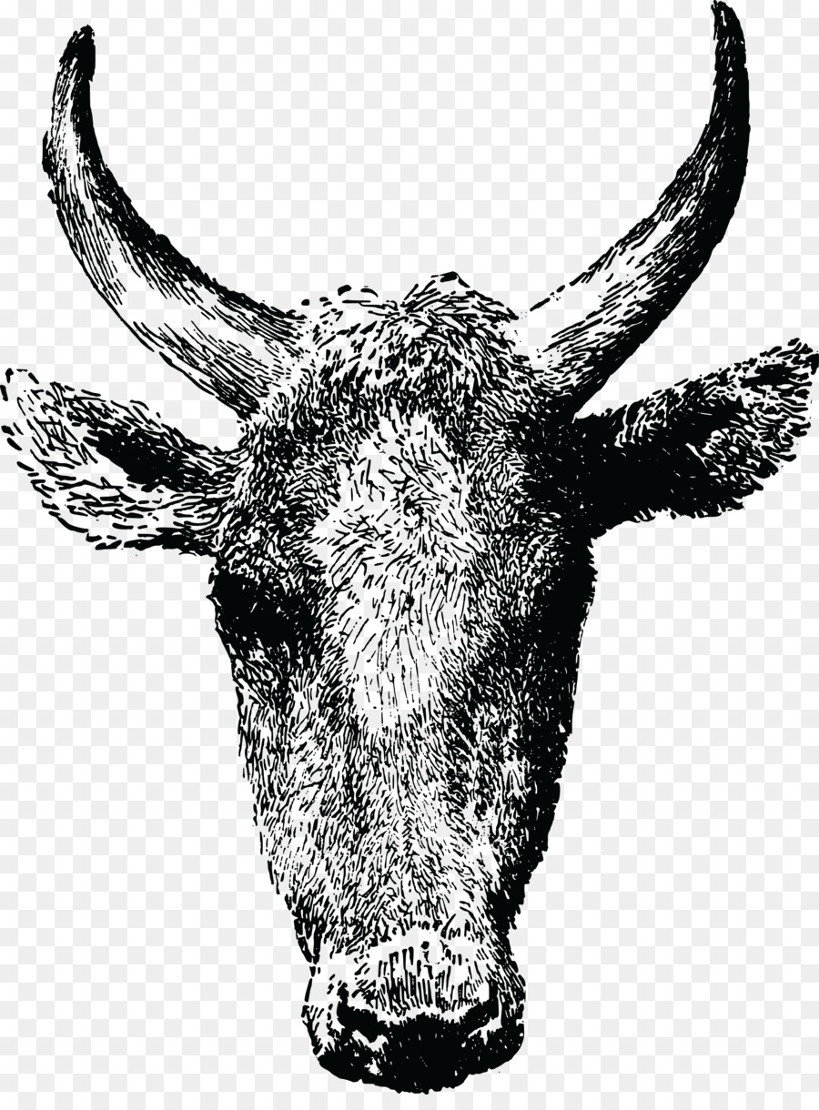 техасский лонгхорн，Ангус крупного рогатого скота PNG