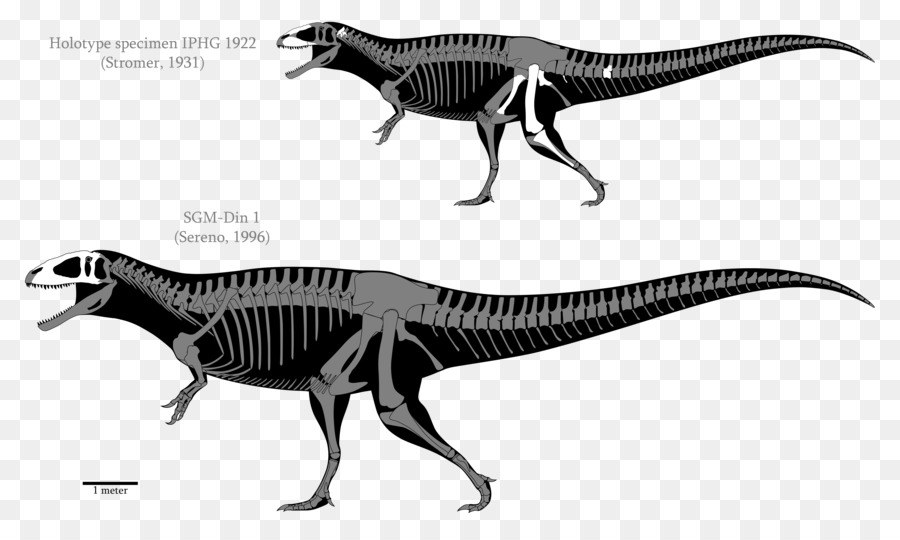 Скелет динозавра，доисторический PNG