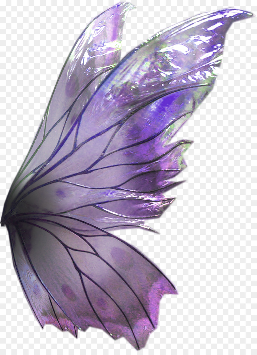 Фиолетовые Крылья