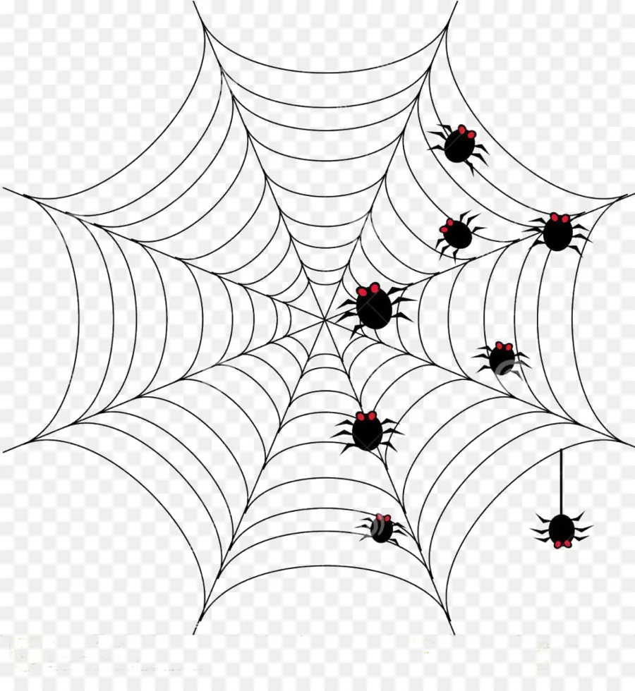 паук，Хэллоуин PNG