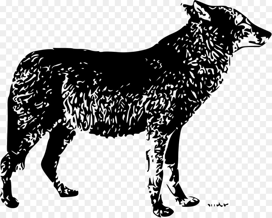 серый волк，рисунок PNG