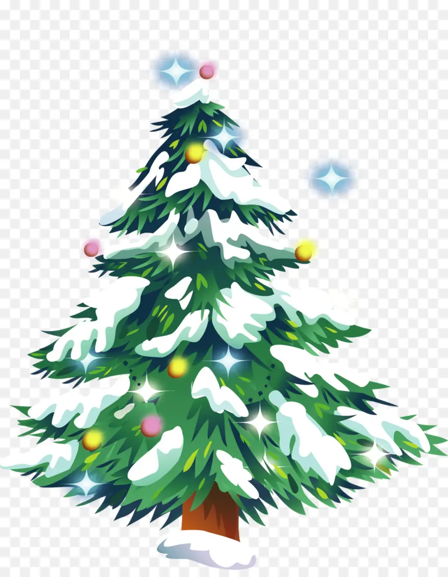 Рождественская елка，пихта PNG