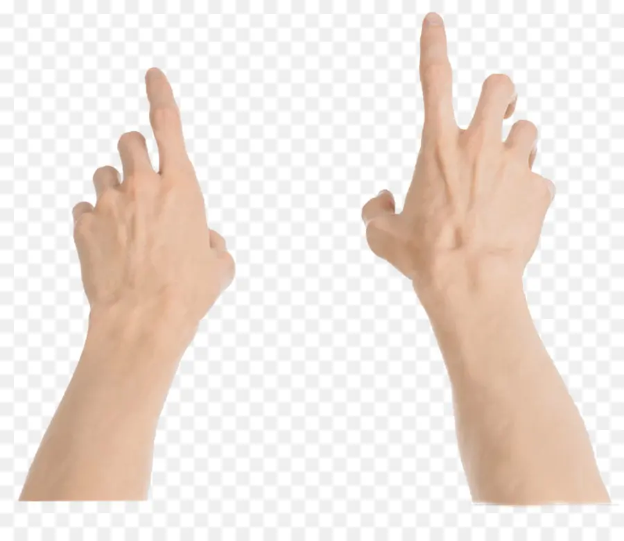 язык жестов，руки PNG