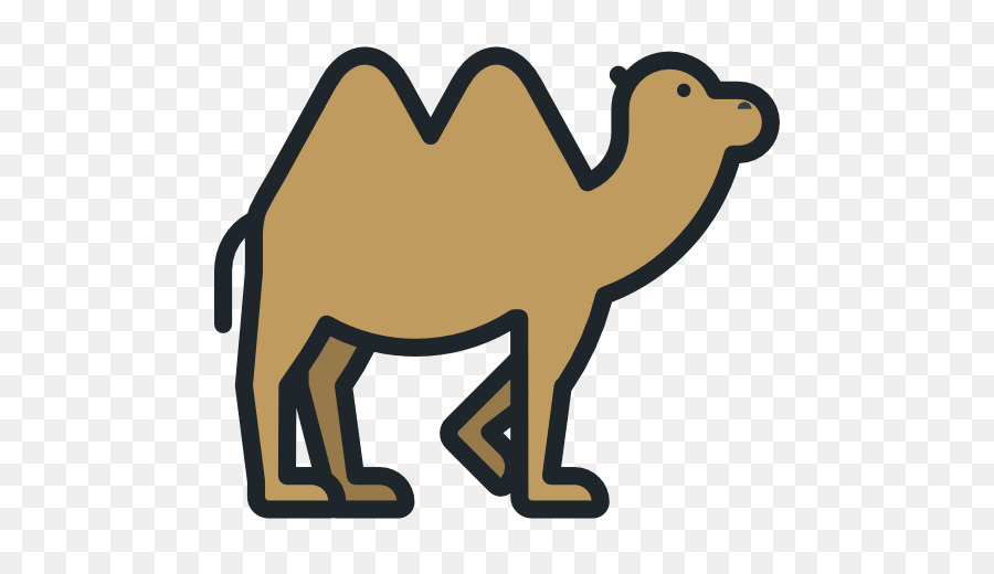 верблюд，компьютерные иконки PNG