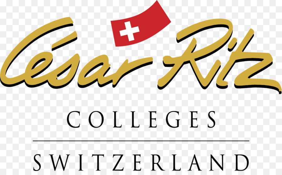 международный отель и туризма обучение институт，академия кулинарного искусства Швейцарии PNG